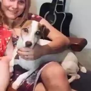 lost male dog memo