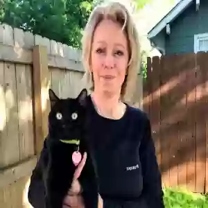 lost female cat miss kitty