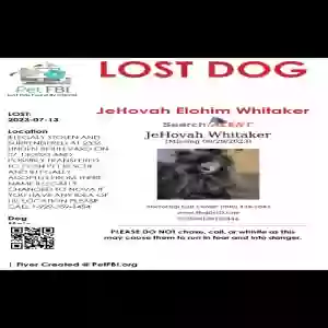 lost male dog jehovah elohim whitaker