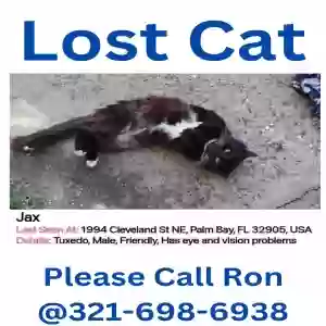lost male cat jax