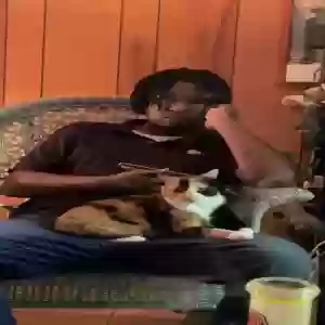 lost female cat mama