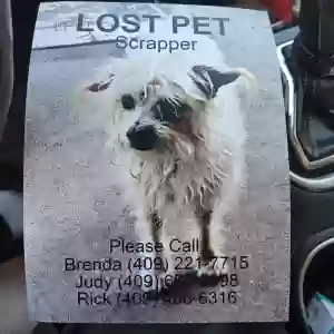 lost male dog scrapper