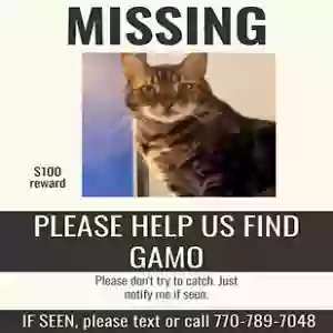 lost male cat gamo